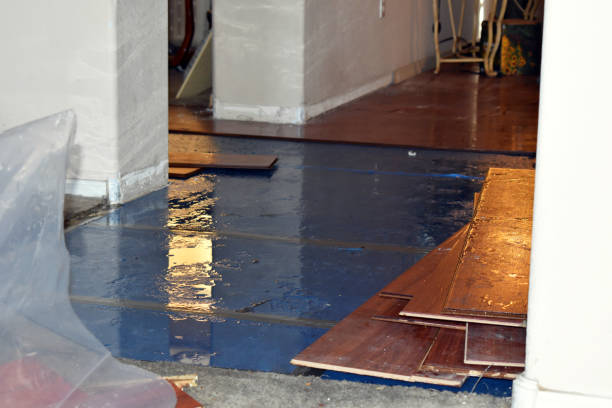 Professional Flood Damage Repair technician working in Holton, KS